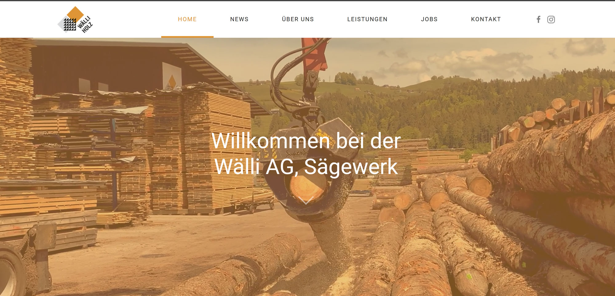 waelli-holz.ch
